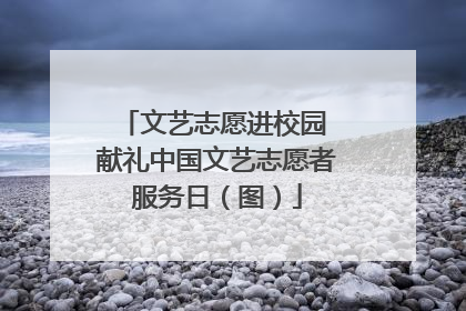 文艺志愿进校园 献礼中国文艺志愿者服务日（图）