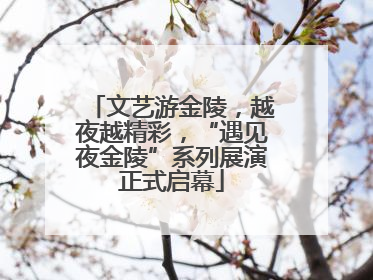 文艺游金陵，越夜越精彩，“遇见夜金陵”系列展演正式启幕
