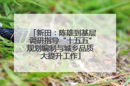 新田：陈雄到基层调研指导“十五五”规划编制与城乡品质大提升工作
