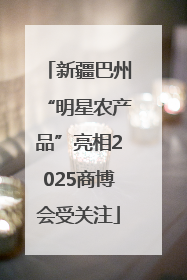 新疆巴州“明星农产品”亮相2025商博会受关注