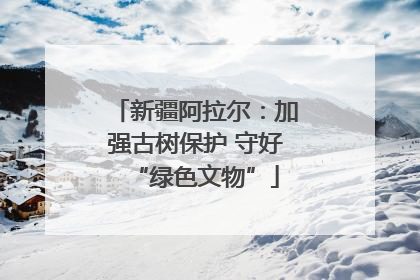 新疆阿拉尔：加强古树保护 守好“绿色文物”