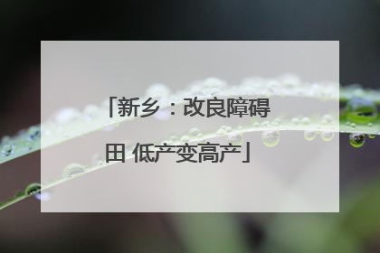 新乡：改良障碍田 低产变高产