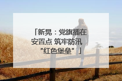 新晃：党旗插在安置点 筑牢防汛“红色堡垒”