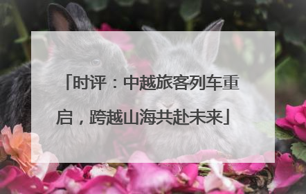 时评：中越旅客列车重启，跨越山海共赴未来