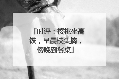 时评：樱桃坐高铁，早晨枝头摘，傍晚到餐桌