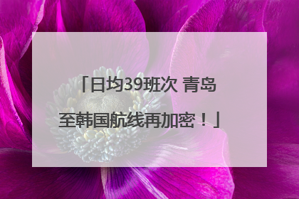 日均39班次 青岛至韩国航线再加密！