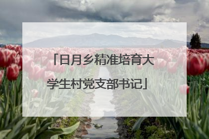日月乡精准培育大学生村党支部书记