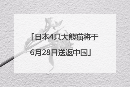 日本4只大熊猫将于6月28日送返中国