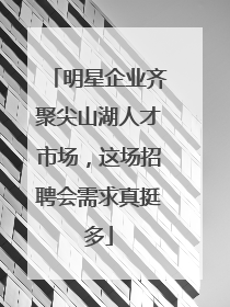 明星企业齐聚尖山湖人才市场，这场招聘会需求真挺多