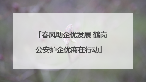 春风助企优发展 鹤岗公安护企优商在行动
