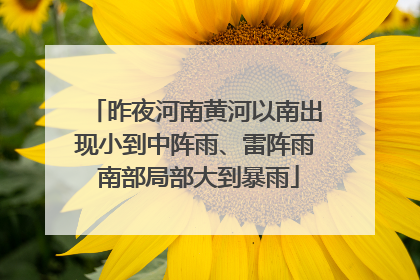 昨夜河南黄河以南出现小到中阵雨、雷阵雨 南部局部大到暴雨