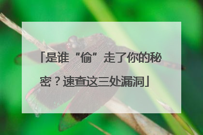 是谁“偷”走了你的秘密？速查这三处漏洞