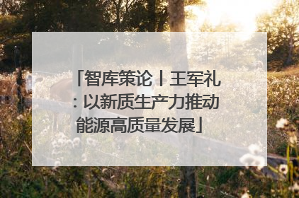 智库策论丨王军礼：以新质生产力推动能源高质量发展