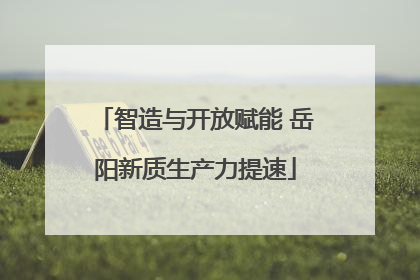 智造与开放赋能 岳阳新质生产力提速
