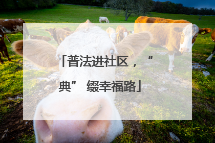 普法进社区，“典” 缀幸福路