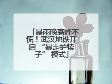 暴雨晚高峰不慌！武汉地铁开启 “暴走护犊子” 模式
