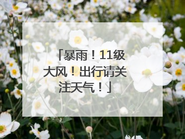 暴雨！11级大风！出行请关注天气！