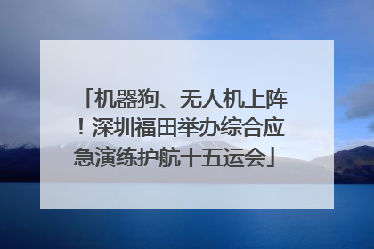 机器狗、无人机上阵！深圳福田举办综合应急演练护航十五运会