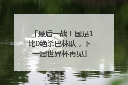 最后一战！国足1比0绝杀巴林队，下一届世界杯再见