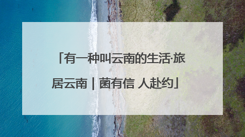 有一种叫云南的生活·旅居云南｜菌有信 人赴约
