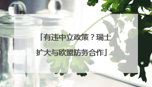 有违中立政策？瑞士扩大与欧盟防务合作