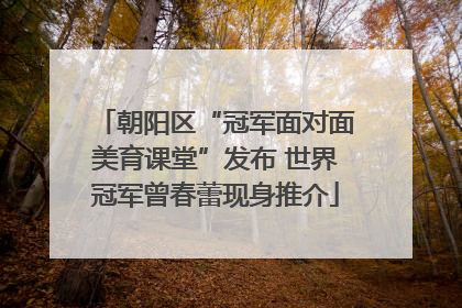 朝阳区“冠军面对面美育课堂”发布 世界冠军曾春蕾现身推介