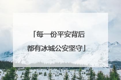 每一份平安背后 都有冰城公安坚守