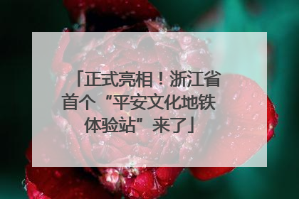 正式亮相！浙江省首个“平安文化地铁体验站”来了