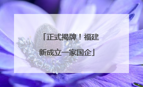正式揭牌！福建新成立一家国企