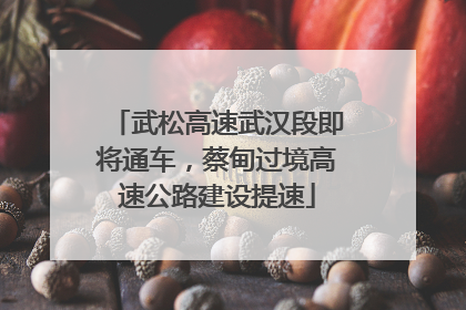 武松高速武汉段即将通车，蔡甸过境高速公路建设提速