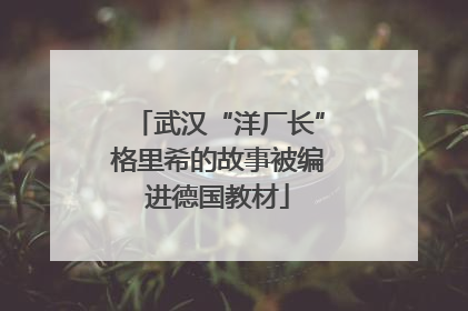 武汉“洋厂长”格里希的故事被编进德国教材