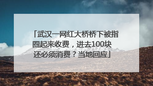 武汉一网红大桥桥下被指圈起来收费，进去100块还必须消费？当地回应