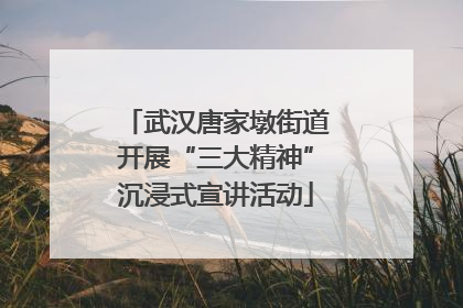 武汉唐家墩街道开展“三大精神”沉浸式宣讲活动