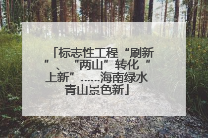 标志性工程“刷新”、“两山”转化“上新”……海南绿水青山景色新