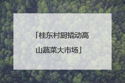 桂东村厨撬动高山蔬菜大市场