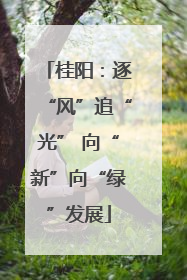 桂阳：逐“风”追“光” 向“新”向“绿”发展