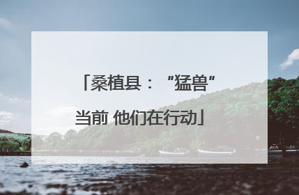 桑植县：“猛兽”当前 他们在行动