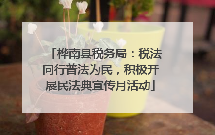 桦南县税务局：税法同行普法为民，积极开展民法典宣传月活动