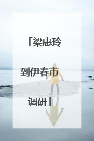 梁惠玲到伊春市调研