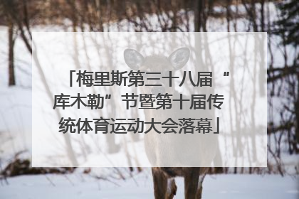 梅里斯第三十八届“库木勒”节暨第十届传统体育运动大会落幕