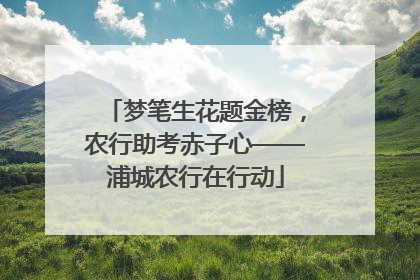 梦笔生花题金榜，农行助考赤子心——浦城农行在行动