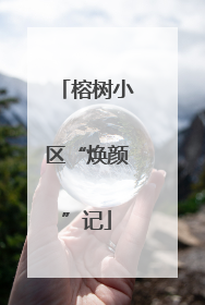 榕树小区“焕颜”记