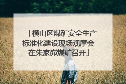 横山区煤矿安全生产标准化建设现场观摩会在朱家峁煤矿召开