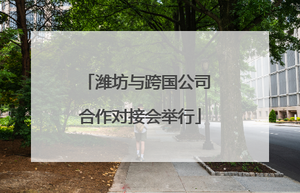潍坊与跨国公司合作对接会举行