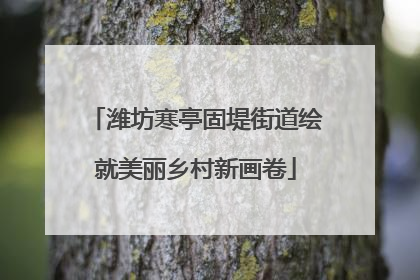 潍坊寒亭固堤街道绘就美丽乡村新画卷
