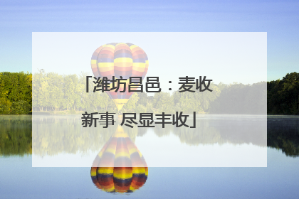 潍坊昌邑：麦收新事 尽显丰收