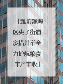 潍坊滨海区央子街道多措并举全力护航粮食丰产丰收