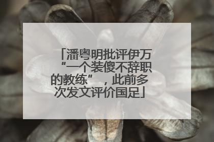 潘粤明批评伊万“一个装傻不辞职的教练”，此前多次发文评价国足