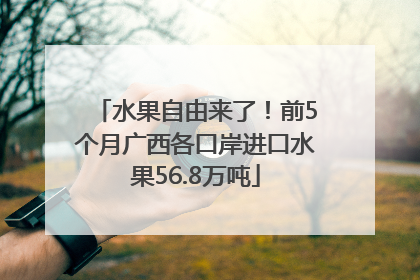 水果自由来了！前5个月广西各口岸进口水果56.8万吨