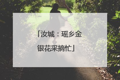 汝城：瑶乡金银花采摘忙